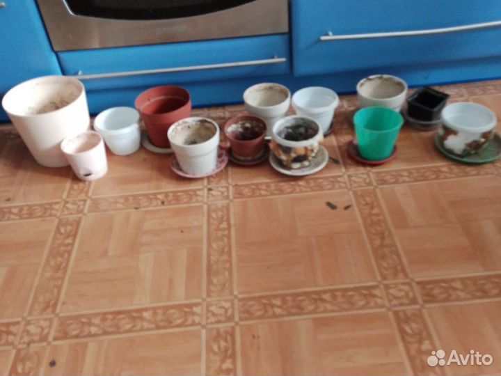 Горшки под растения