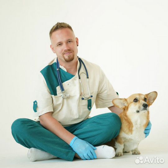 Ветеринарный врач на дом