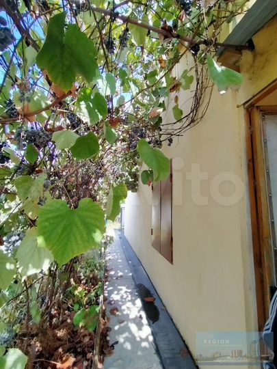 Дом 48,8 м² на участке 4,8 сот.