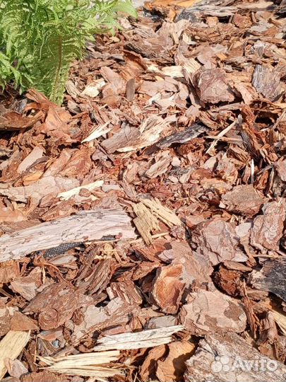 Мульча кора