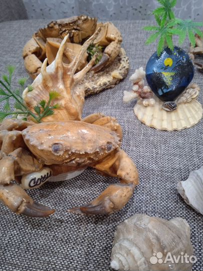 Морские сувениры