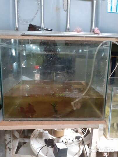 Продаю аквариум