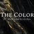 The Color by Mariana Bursina