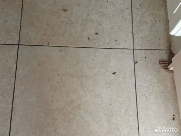 Дезинфекция. Уничтожение, травля, обработка