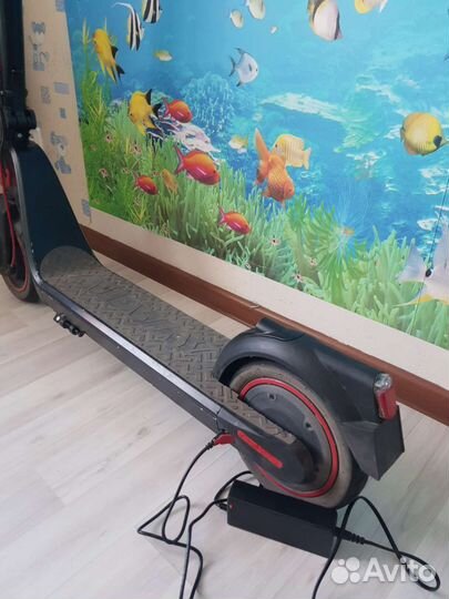 Самокат взрослый электрический бу