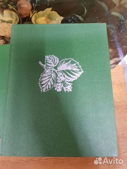 Жизнь растений и животных