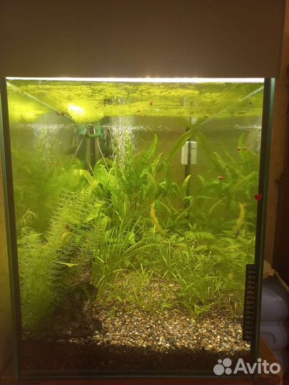Аквариум 200 литров с тумбой