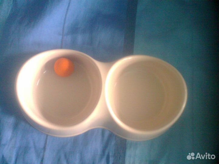 Принадлежности для кошки или маленькой собачки