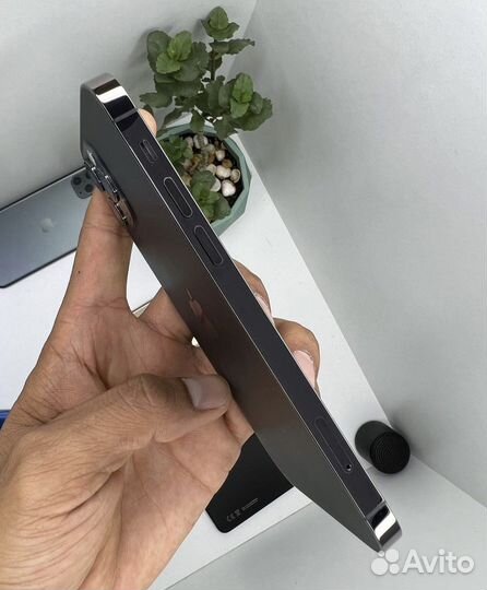iPhone 12 Pro Max, 256 ГБ