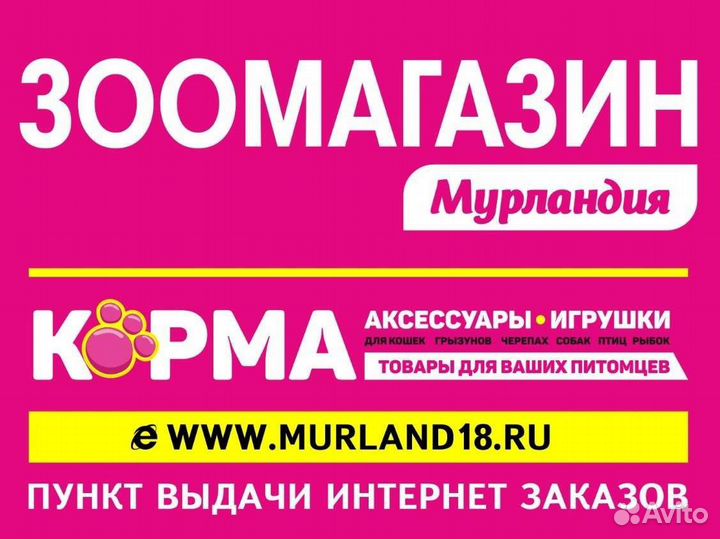 Продавец кассир в зоомагазин