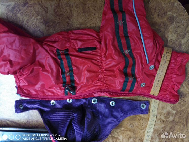 Демисезонный комбез на маленькую собаку, размер S