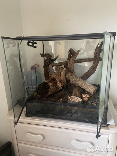 Террариум для рептилий бу