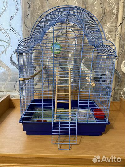 Клетка большая