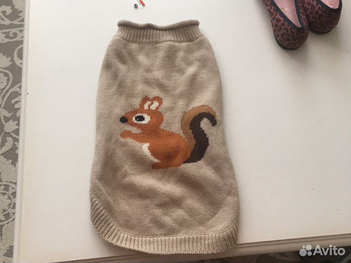 Собачья одежда