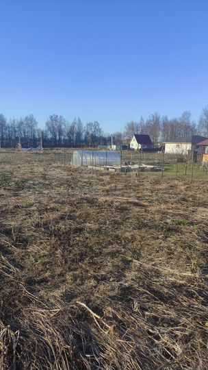 Участок 11,7 сот. (СНТ, ДНП)