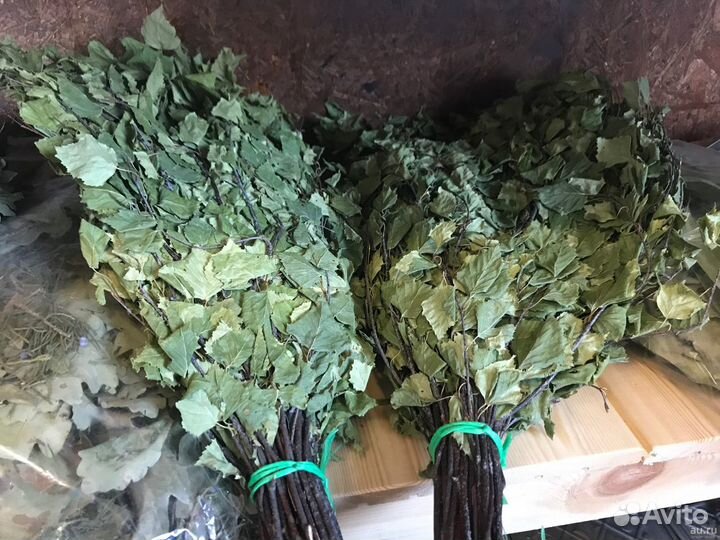 Банные веники (береза, дуб, пихта, можжевеловые)