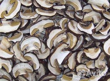Белый гриб сушеный оптом