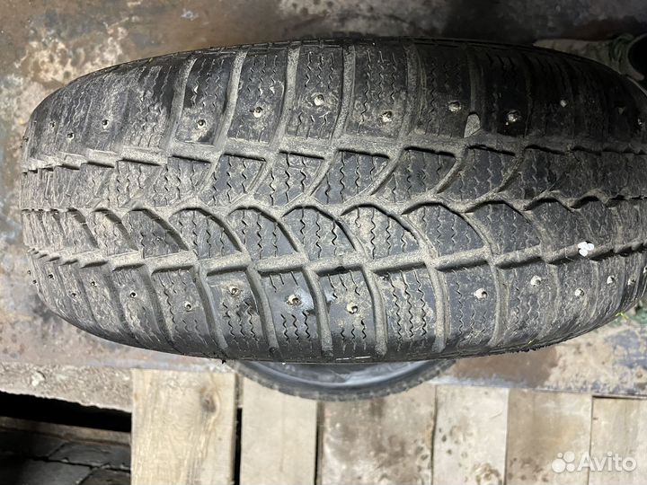 Tigar Sigura Stud 185/60 R14
