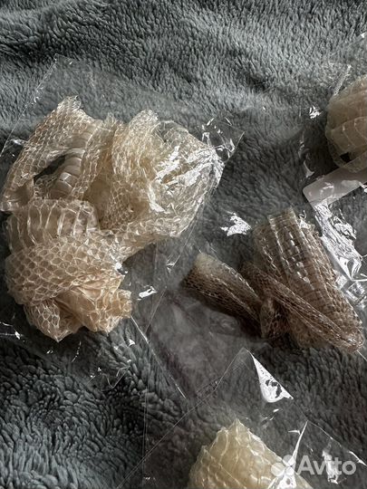 Змеиный выползок