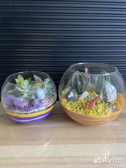 Флорариум#Цветочная композиция