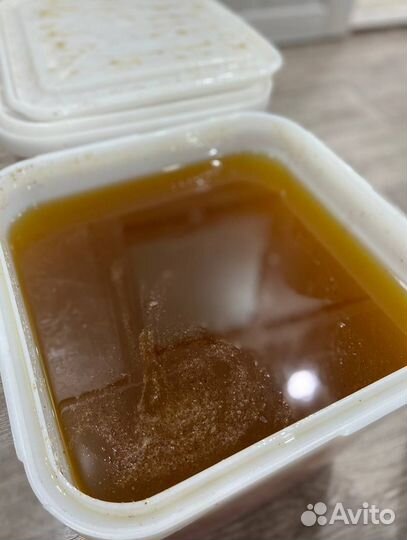 Алтайский мед оптом 2023