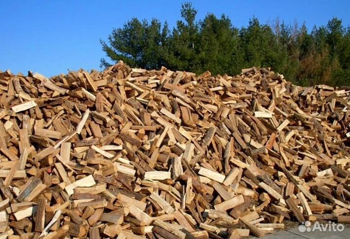 Дрова в тот же день
