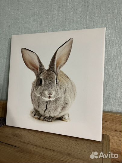 Картина кролик для детской