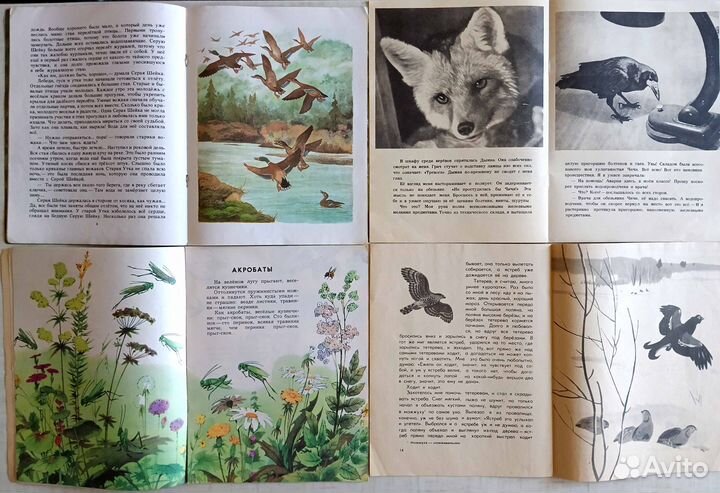 Маяковский, стихи, детские книги СССР о природе