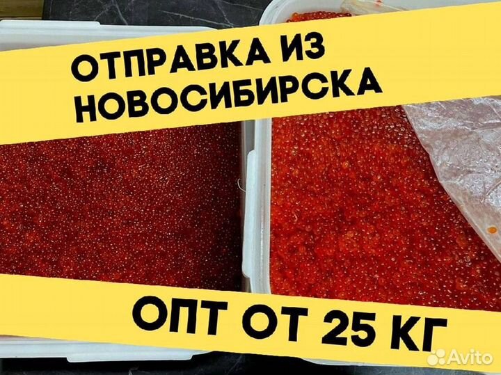 Икра красная нерки, июнь 2023 года