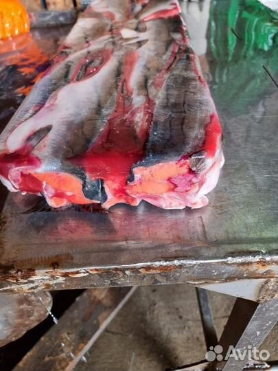 Реализуем оптом море продукты