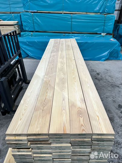 Лиственница в СПб по новой сортировке