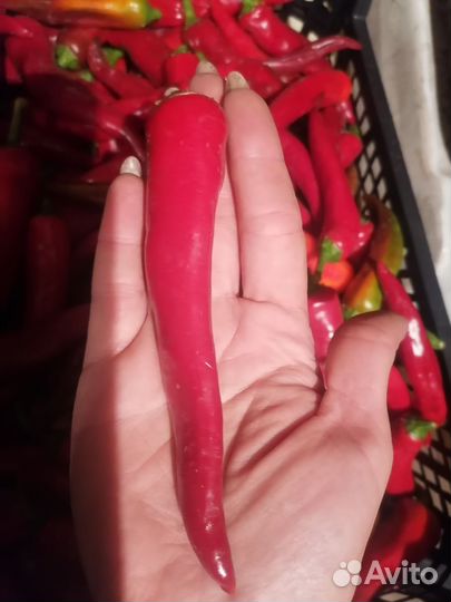 Семена перца разные