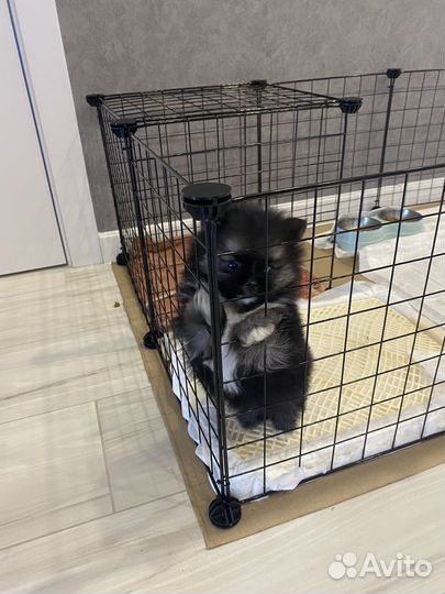 Вольер для собак