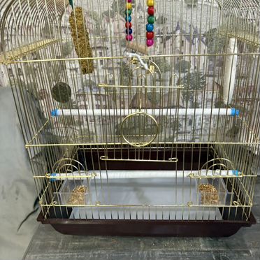 Волнистый попугай с клеткой