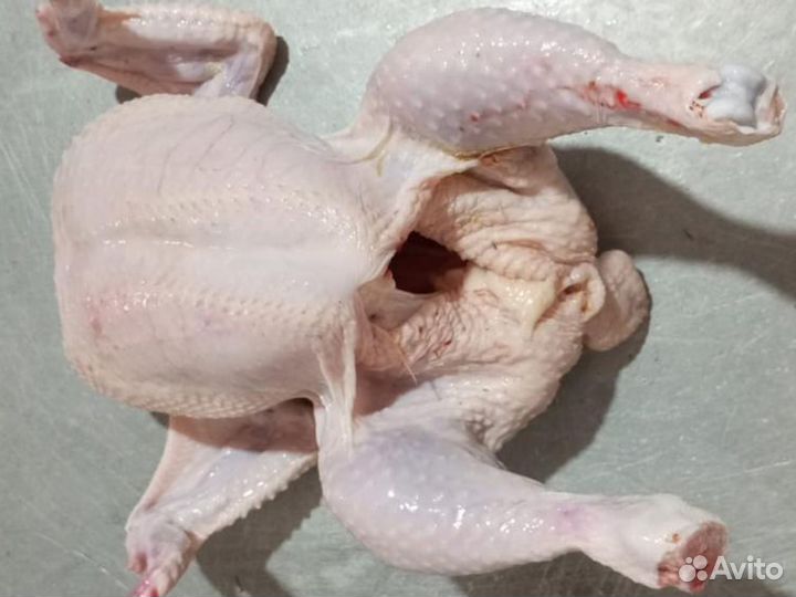 Филе куриное