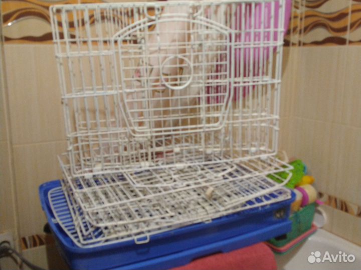 Клетка большая