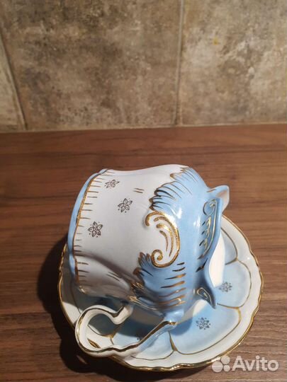 Чашка с блюдцем фарфор Вербилки.Гарден