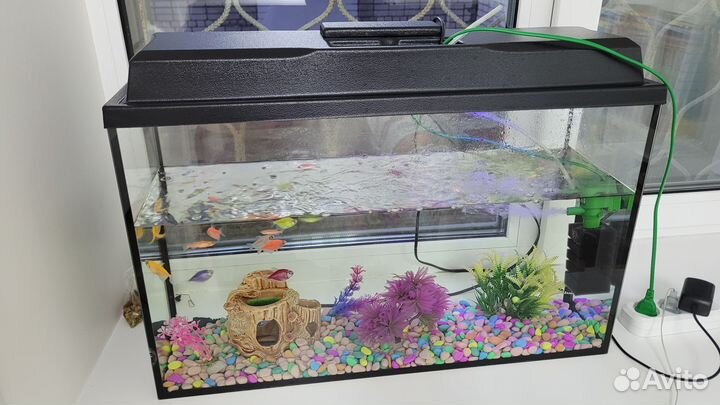 Аквариум с рыбками