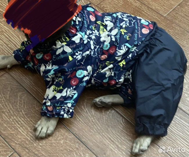 Комбинезон/Дождевик для собаки