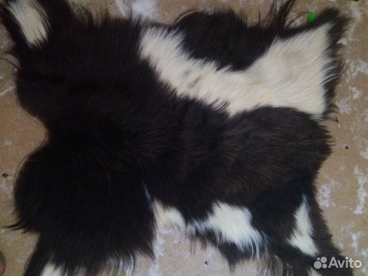 Шкурка коза