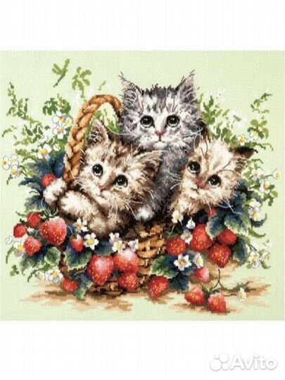 Набор для вышивания Чудесная игла