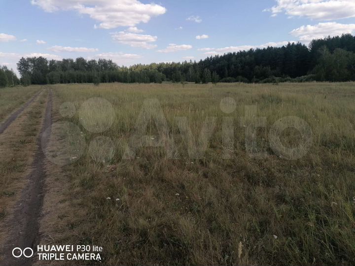 Участок 4,9 га (СНТ, ДНП)