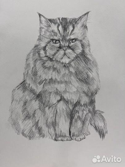 Портрет животных по фото