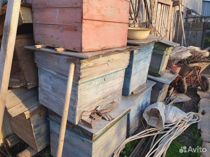 Улей для пчел