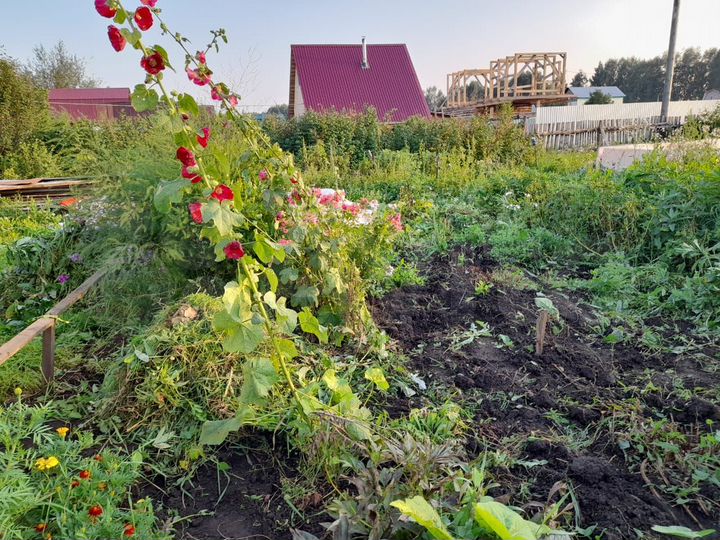 Участок 12 сот. (ИЖС)