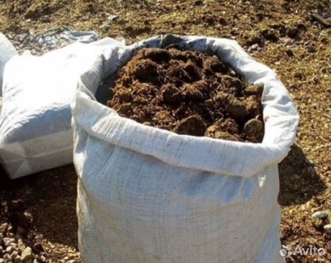 Навоз конский и коровой перегной