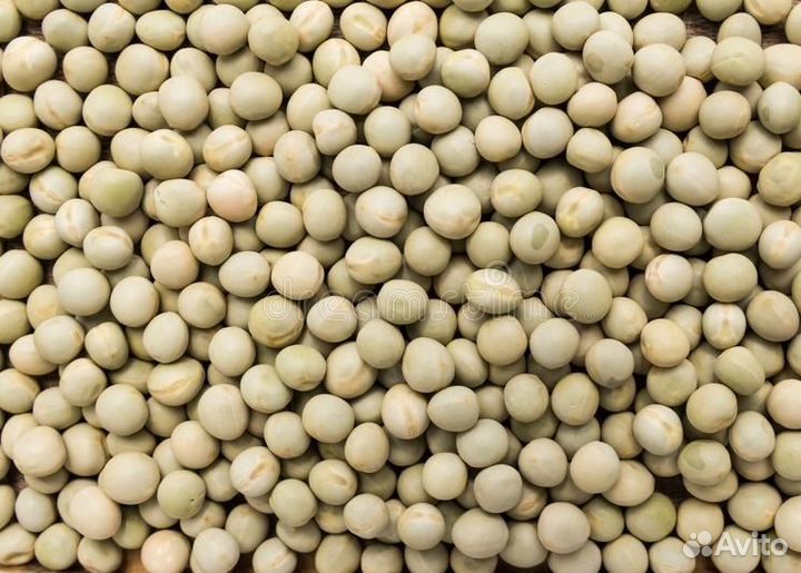 Пшеница,кукуруза,горох,отруби,жмых соевый,дерть