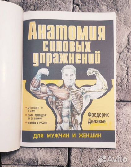 Анатомия силовых упражнений