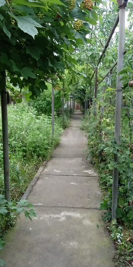 Дом 98 м² на участке 12 сот.