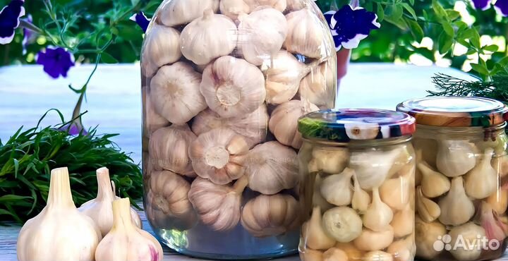 Маринованный чеснок оптом с доставкой